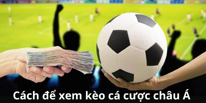 Cách xem kèo tài xỉu - O/U