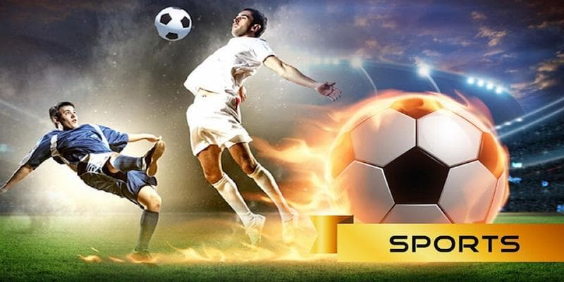 Danh mục thể thao đa dạng tại Goal123